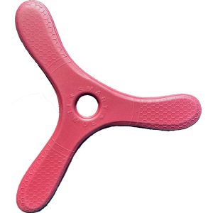 Kiwi Mini boomerangs - Low Cost foam boomerangs for small kids