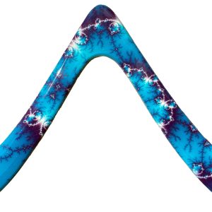 Beginner Boomerang - Seagull Special Edition Boomerang