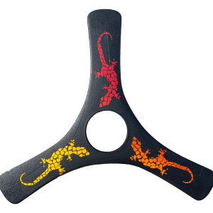 Boomerang for teenagers - Spin Racer Carbon Boomerang